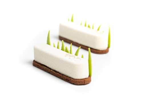 [IND-LOG-KAFIR] KAFIR LIME BAVARIAN LOG, MOQ 50pcs